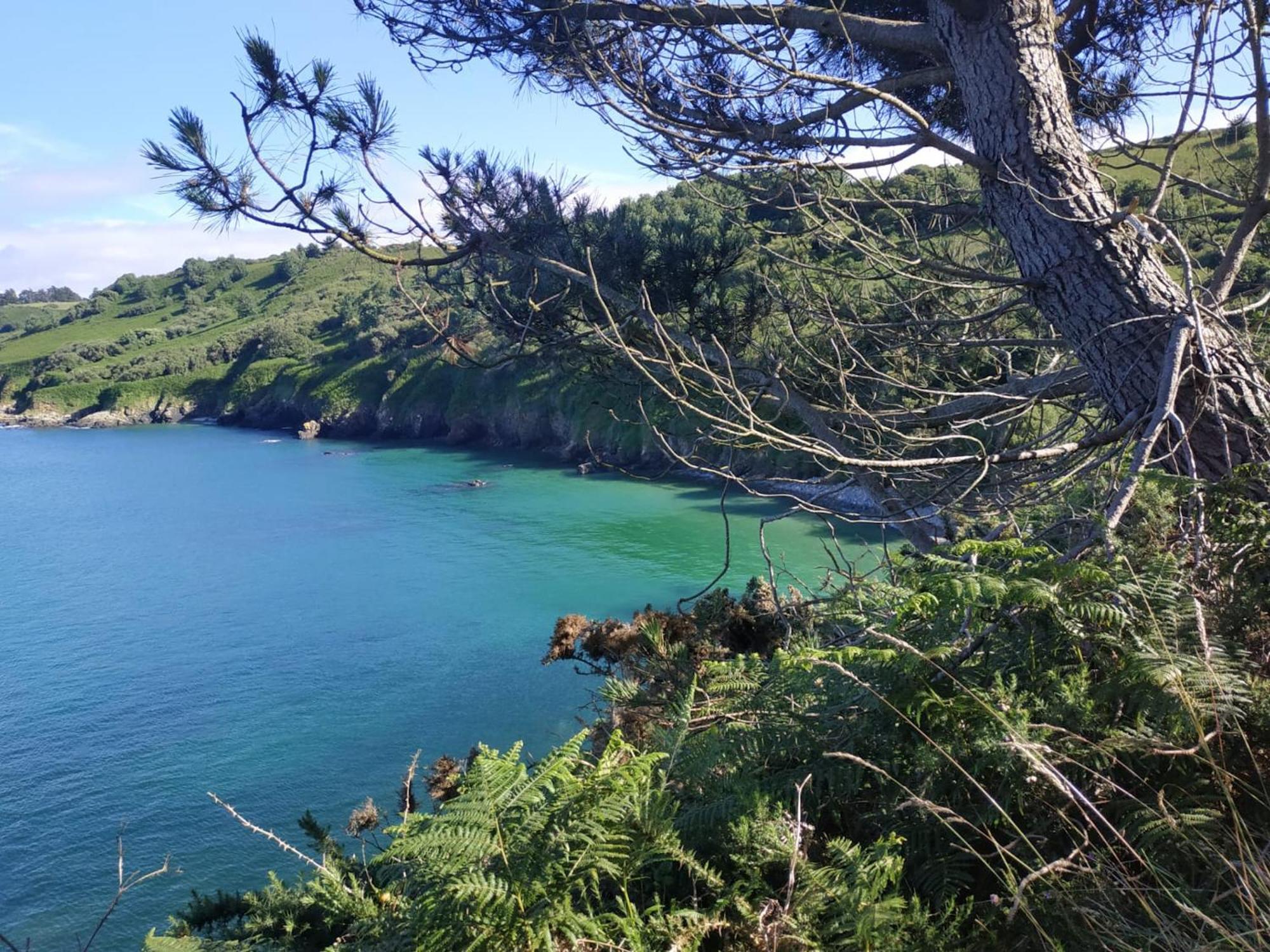 Maison Cosy Vue Mer A Guimaec Zewnętrze zdjęcie